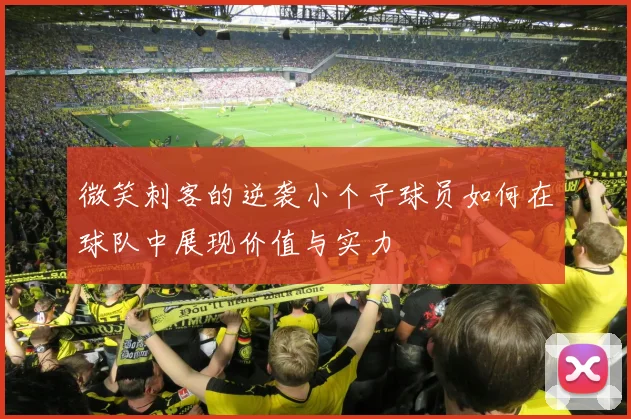 微笑刺客的逆袭小个子球员如何在球队中展现价值与实力