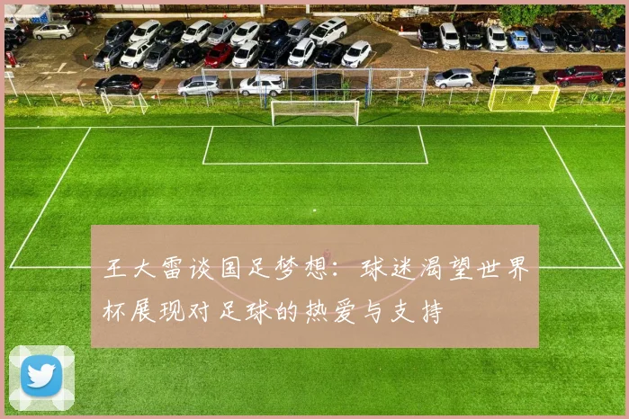 王大雷谈国足梦想：球迷渴望世界杯展现对足球的热爱与支持